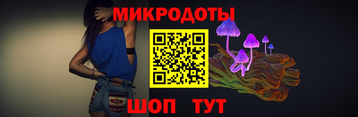 Псилоцибиновые грибы мицелий Жуковский